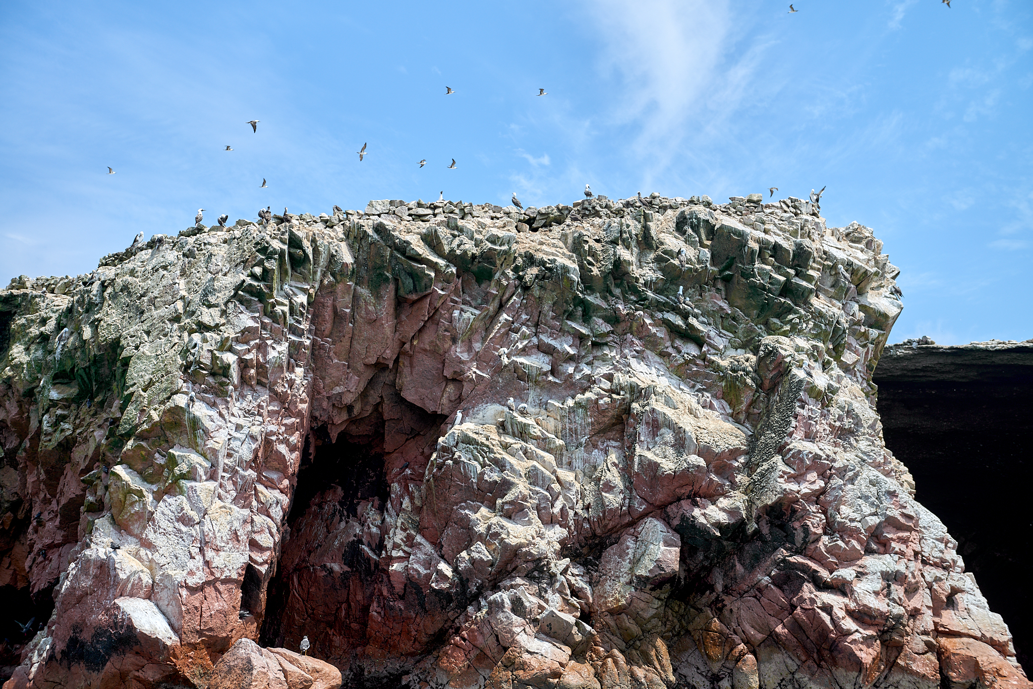 20200304 122 [페루] 바예스타섬